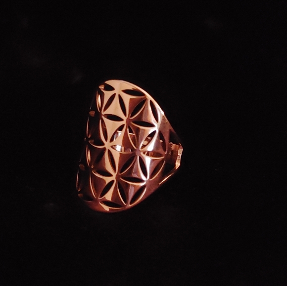 Elegant Gold Geometric Ring - Picture 2 of 4